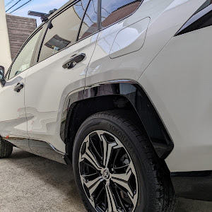 RAV4 AXAP54