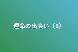 運命の出会い（1）