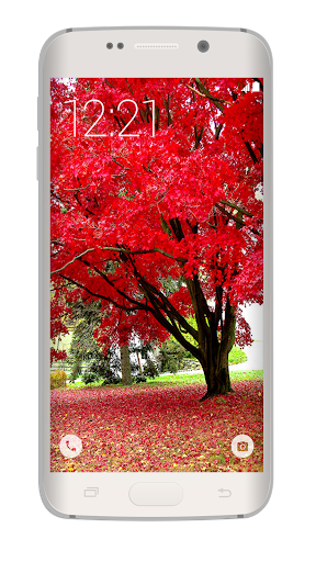 Autumn live Wallpapers Theme