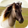 Horse Sounds icon