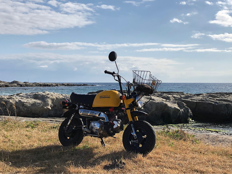 なべちゃんさんが投稿したゴリラ・春はまだかいな？に関するカスタム事例の投稿画像1枚目