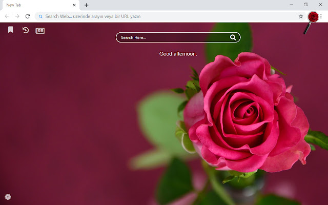 Rose Flower HD Wallpapers New Tab Theme