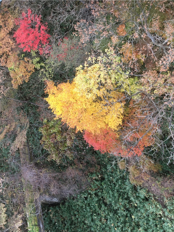 の投稿画像10枚目