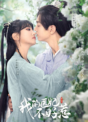 I Have a Smart Doctor Wife Season 2 China Web Drama