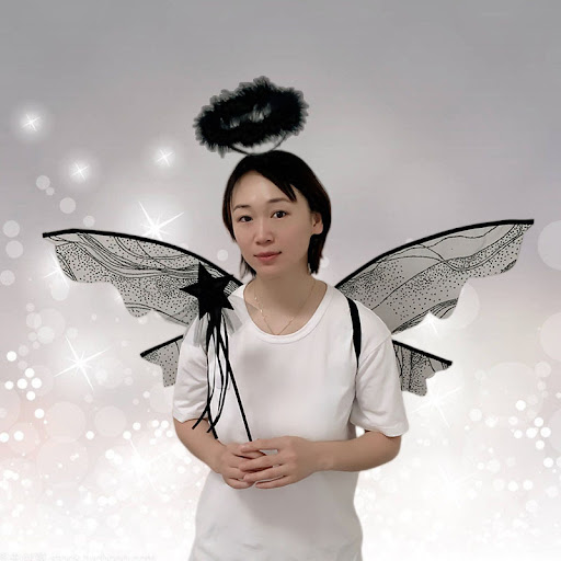 Title 2, Holiday Party Masquerade Fairy Wings COS, add a...