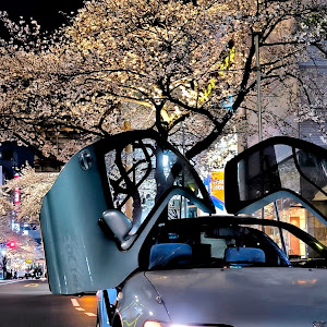 セラ EXY10