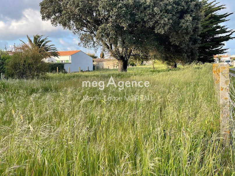 Vente terrain  2315 m² à Saint-Pierre-d'Oléron (17310), 523 000 €