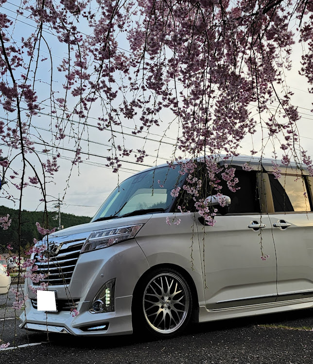 ルーミーカスタムの芝桜・枝垂れ桜・みどり坂 スカイレール・出島埠頭・鯉のぼりに関するカスタム事例の投稿画像8枚目