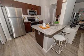 Kitchen with granite countertops, stainless steel appliances, and sleek cabinetry