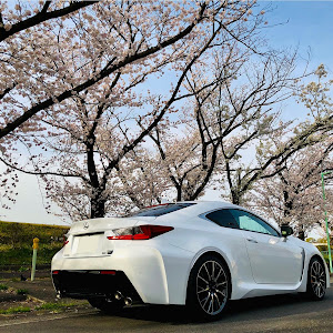 RC F USC10