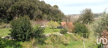 maison à Barbaggio (2B)