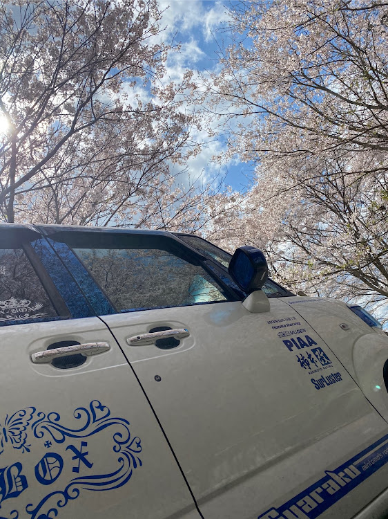 Nボックス+のエアーミーティング・サクラコラボ・コロナウイルスに負けるな・桜と愛車・ドライブに関するカスタム事例の投稿画像11枚目