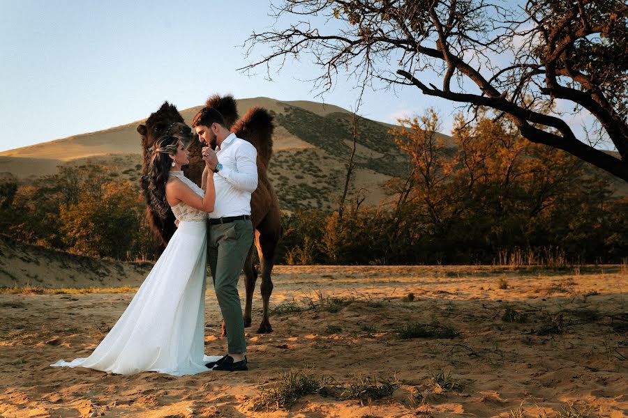 Fotografo di matrimoni Sofiya Gubriy (sofihubriy). Foto del 5 dicembre 2022