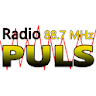 Radio Puls icon