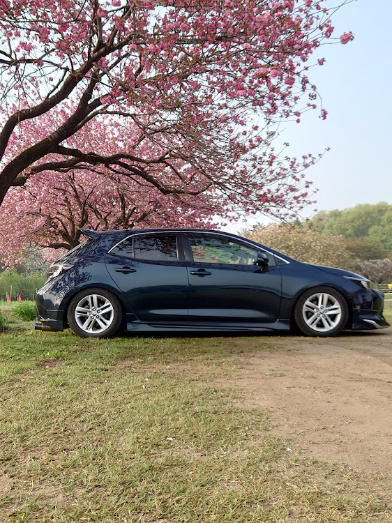 カローラスポーツのいつもいいね＆コメントありがとうございます・桜コラボ🌸・桜が散る前にに関するカスタム事例の投稿画像8枚目