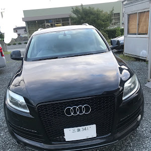 Q7