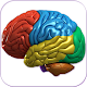 3D Human Brain Download on Windows