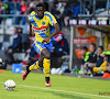 Westerlo-nieuwkomers debuteren in stijl: "Hij kan Gounongbe doen vergeten"