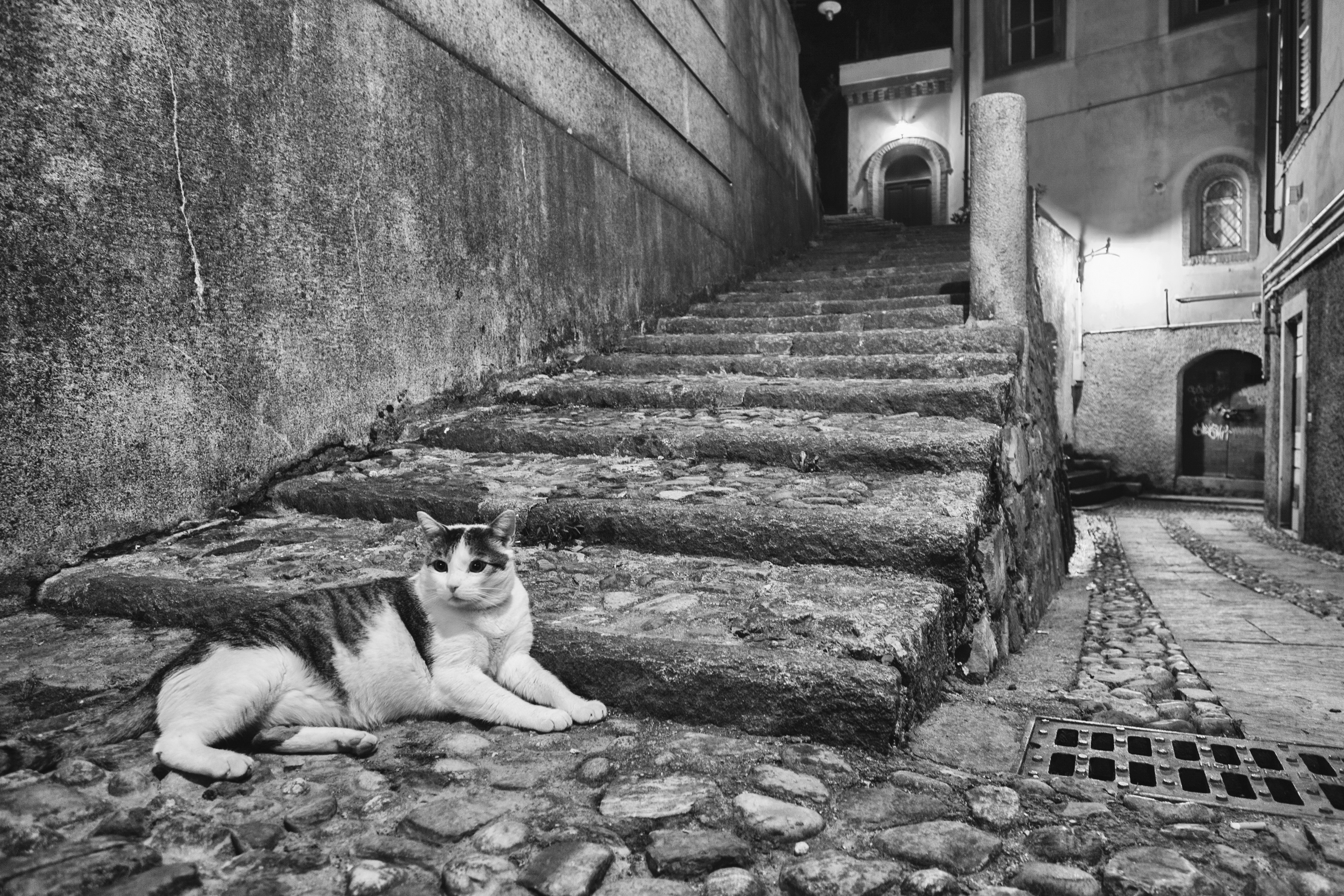 il gatto del borgo... di Sagit64