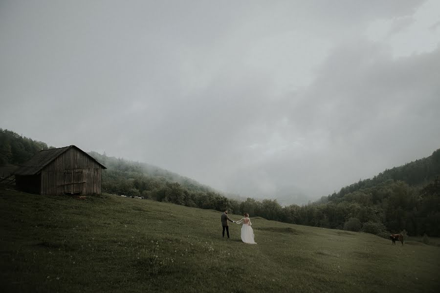 Fotógrafo de casamento Dariya Zheliba (zheliba). Foto de 12 de outubro 2018