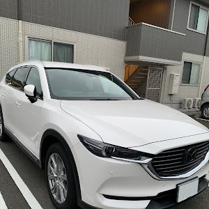 CX-8