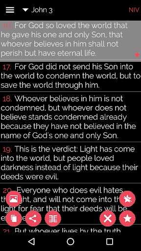 Screenshot Bible Salvation Jn316