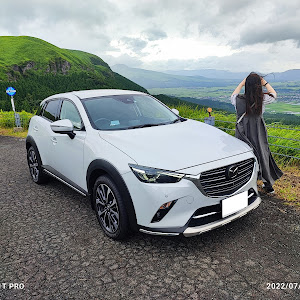 CX-3 DK8FW