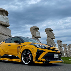 C-HR NGX50