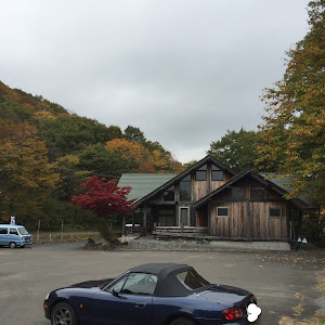 ロードスター NB6C