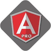 Learn AngularJS PRO