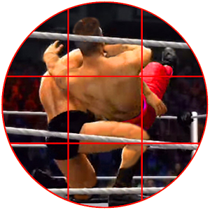Wrestling Flash Punch: Trivia logo