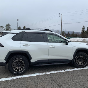 RAV4 AXAH54