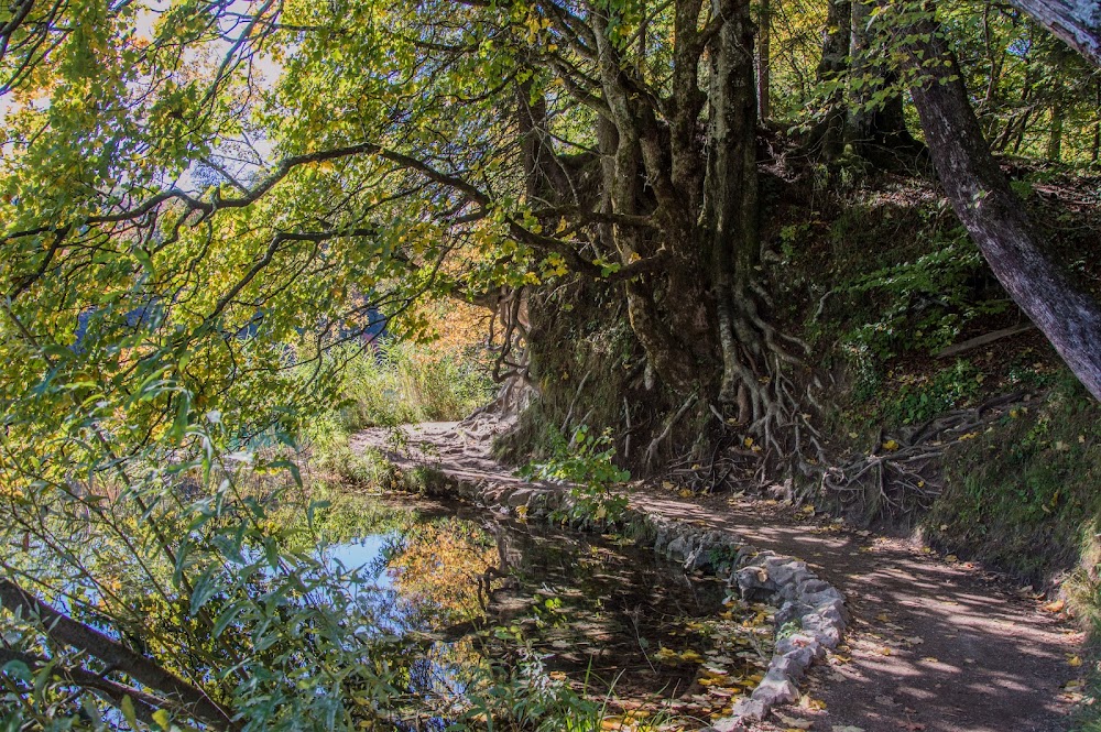 wandelpad-plitvice