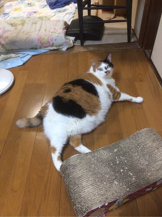 イワチャンさんが投稿したカスタム事例の投稿画像1枚目