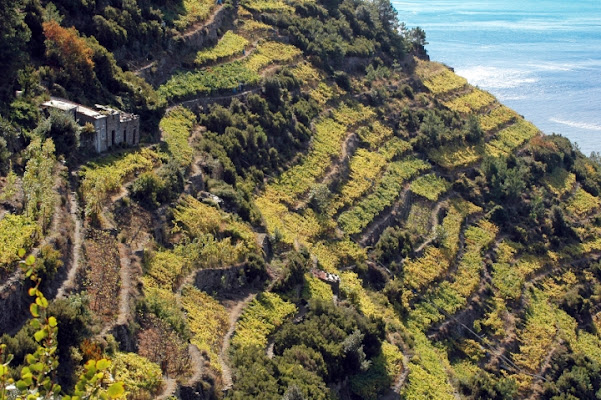 Vertigine verde di borgio