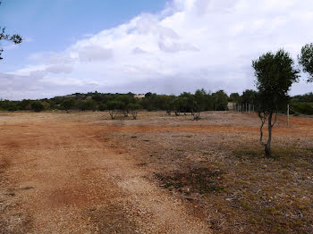 terrain à Fitou (11)