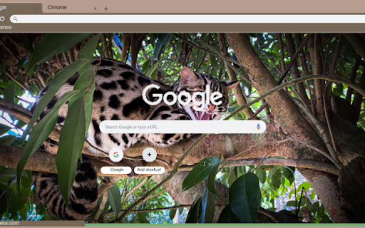 Meo Rung screenshot 1