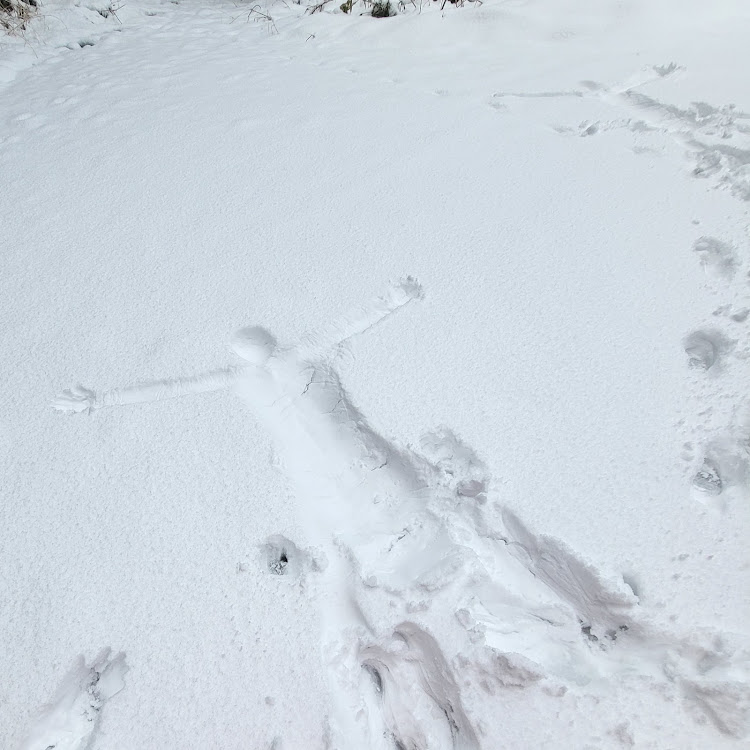 アクアG'sの雪が積もった・大寒波到来・大寒波に関するカスタム事例の投稿画像2枚目