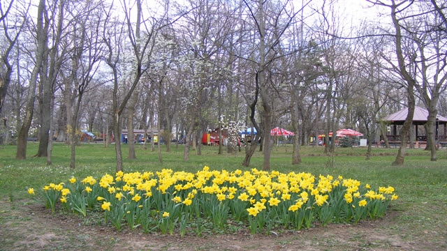 Gardens in Bucharest, Romania