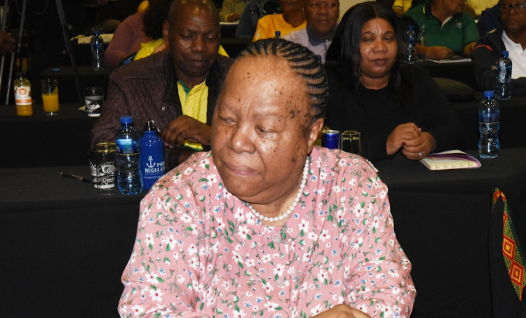 International relations & co-operation minister Naledi Pandor Picture: FREDDY MAVUNDA