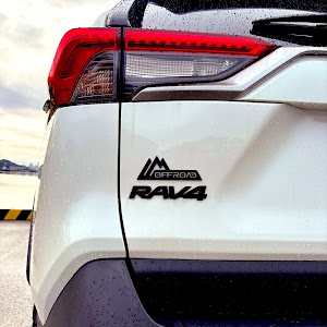 RAV4 MXAA54