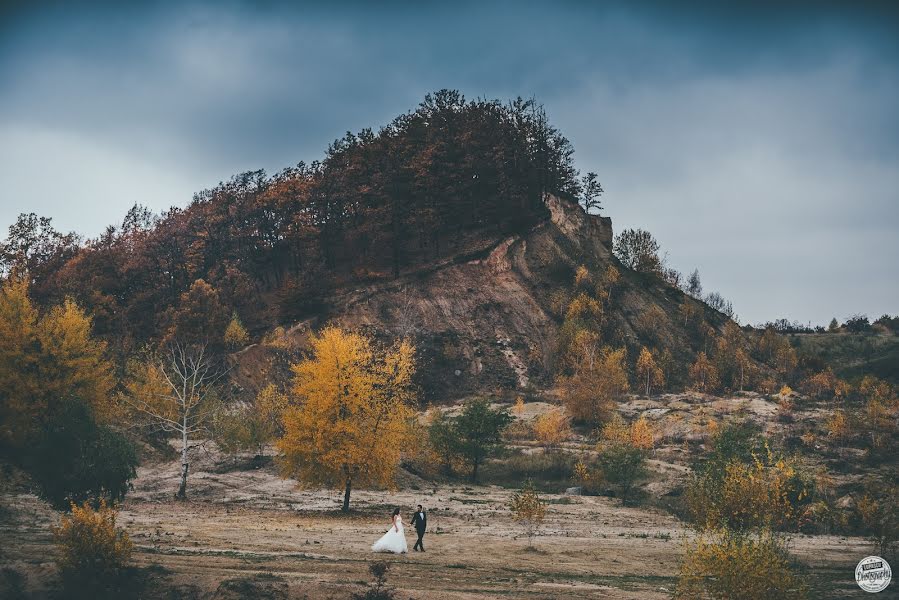 Wedding photographer Lupascu Alexandru (lupascuphoto). Photo of 7 November 2016