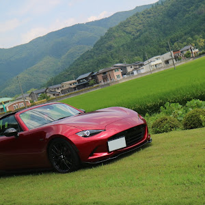 ロードスターRF NDERC
