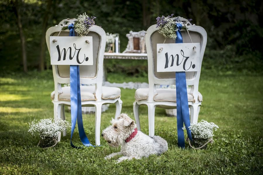 Fotograful de nuntă Lucia Cattaneo (luciacattaneo). Fotografia din 21 iunie 2017