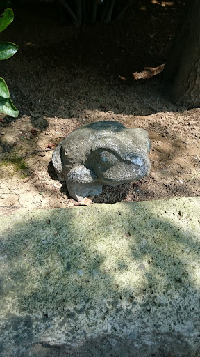 Frog stone
