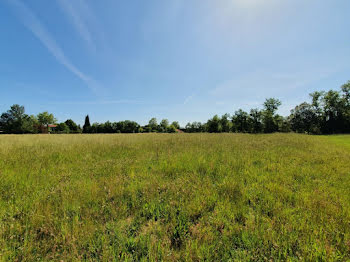 terrain à Saint-Félix-Lauragais (31)