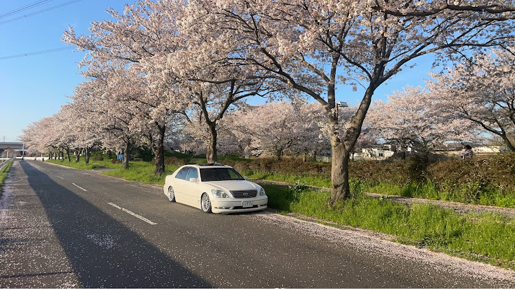 の投稿画像3枚目