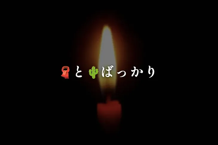 「🧣と🌵ばっかり」のメインビジュアル