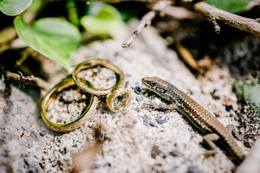 Fotógrafo de casamento Stephan Keereweer (degrotedag). Foto de 9 de junho 2015