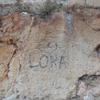 Un amore desiderato crepa anche un muro di cinta di una città di 